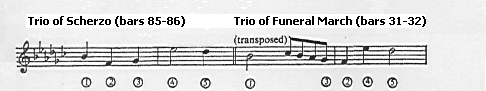 Link between Trio theme of Scherzo and Trio theme of Funeral March