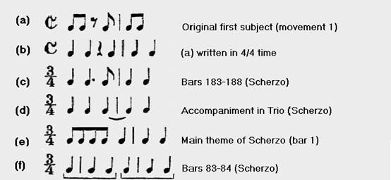 Rhythmic interconnection between themes