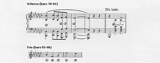 Thematic integration of Trio with Scherzo